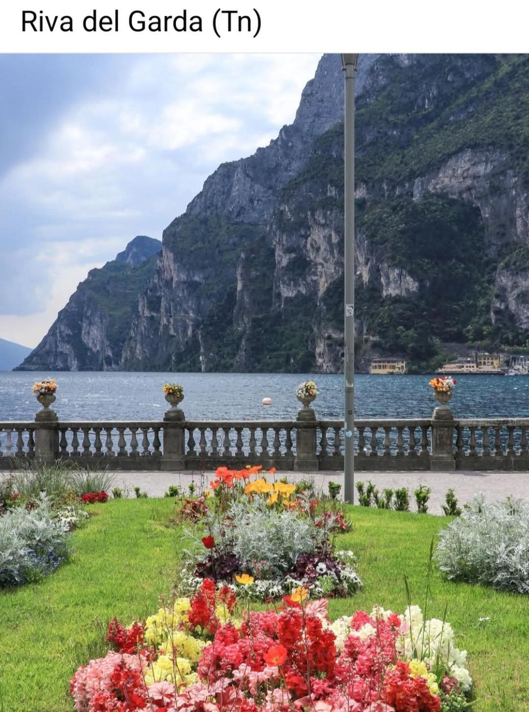 Corte Cavour Valeggio sul Mincio Exteriér fotografie